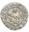 1/2 grosz Címersas írás Ag 500 09 g Lengyelország 1492-1501