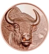 250 tugrik, Bölény, háttérben még három bölény, CuNi, 50 g, Mongólia, 2025