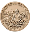 1 dollár, Steve Jobs egy mezőn, , CuNi, 8,1 g, USA, 2026
