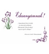 Édesanyák köszöntése alkalmi éremmel, díszborítékban, frézia csokor