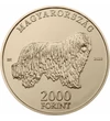 Komondor, 2000 Ft, Magyarország, 2020
