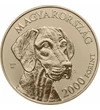 Magyar vizsla, 2000 Ft, Magyarország, 2019