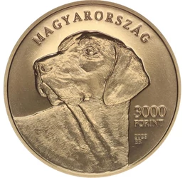H/ 3000 Ft, Erdélyi kopó, 2023, Magyarország