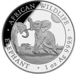 SOM/ 100shilling,Elefánt,Ag,2024, Szomália
