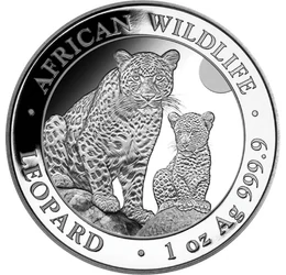 Afrikai nagyvad színezüstön, 100 shilling, ezüst, Szomália, 2024