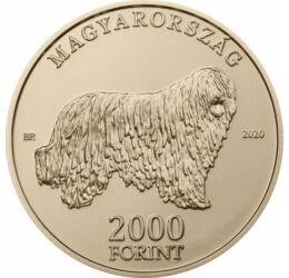 Komondor, 2000 Ft, Magyarország, 2020