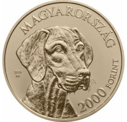 Magyar vizsla, 2000 Ft, Magyarország, 2019