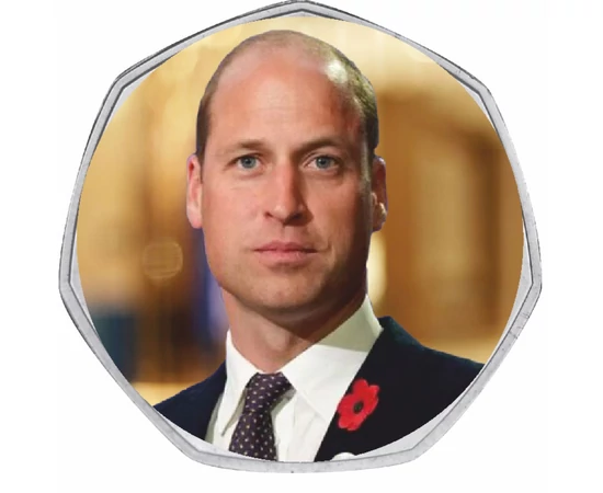II. Erzsébet és a Windsor-ház kollekció 50 penny Nagy-Britannia 2011