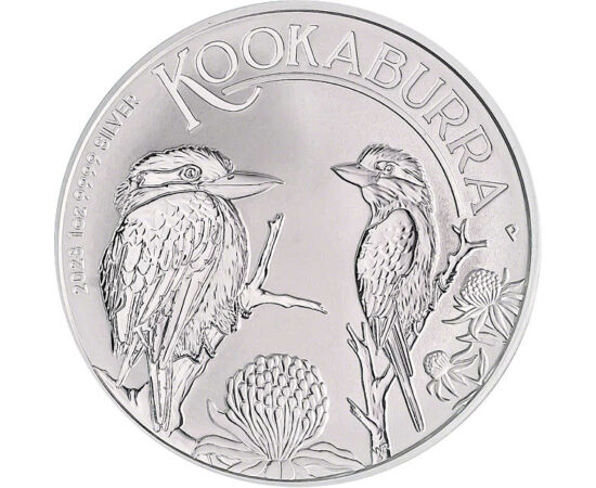 1 dollár, Kookaburra ábrázolás, színsúly, , Ag 9999, 31,1 g, Ausztrália, 2023