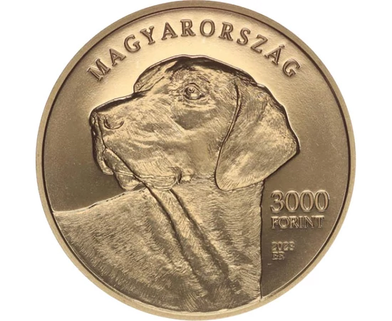 H/ 3000 Ft, Erdélyi kopó, 2023, Magyarország