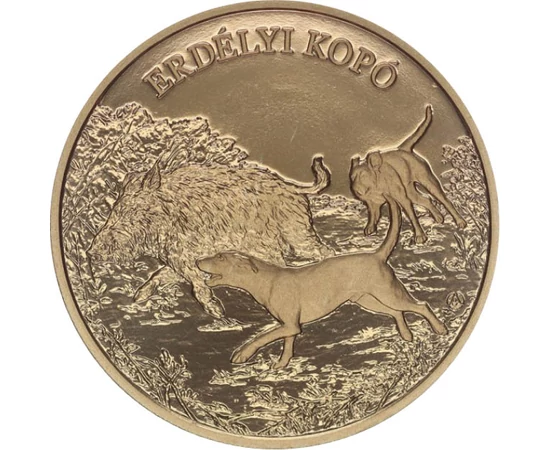 H/ 3000 Ft Erdélyi kopó 2023 Magyarország