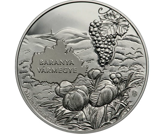 20000 forint Mecseki látkép bazsarózsa szőlő Ag 925 40 g Magyarország 2024