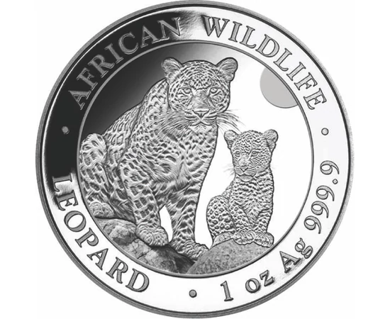 100 shilling, Leopárd, színsúly, Ag 9999, 31,1 g, Szomália, 2024