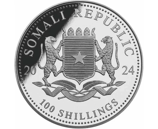 100 shilling Címer   Ag 9999 311 g Szomália 2024