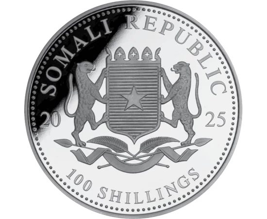 100 shilling Címer   Ag 9999 311 g Szomália 2025