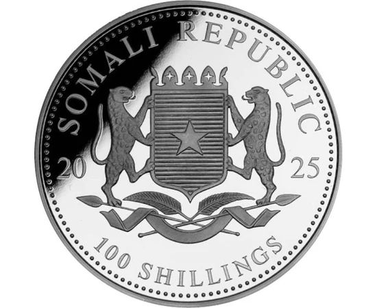 100 shilling Címer   Ag 9999 311 g Szomália 2025