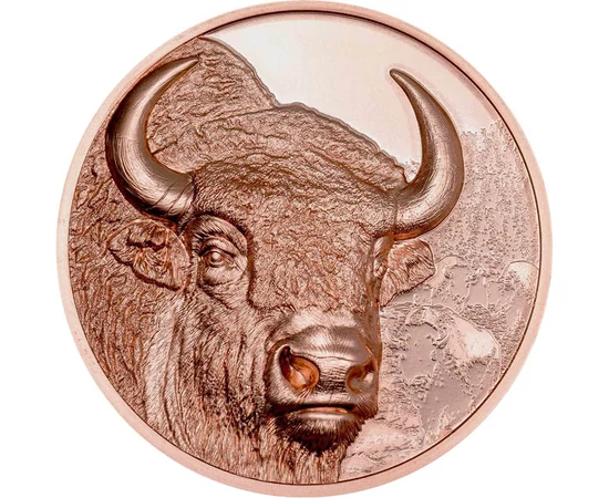 250 tugrik, Bölény, háttérben még három bölény, CuNi, 50 g, Mongólia, 2025