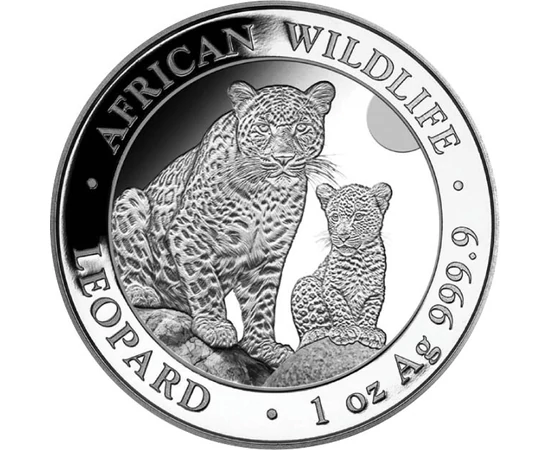 SOM/ 100 shilling, Leopárd, Ag,2024, Szomália