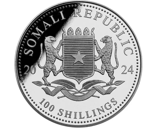 SOM/ 100 shilling Leopárd Ag2024 Szomália