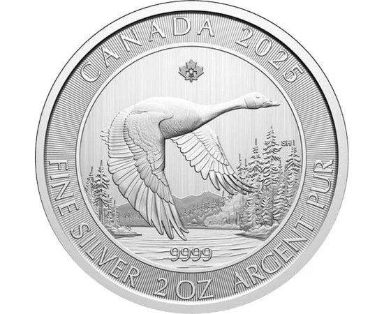 10 dollár, Kanadai lúd repül egy folyó felett, Ag 9999, 62,2 g, Kanada, 2025