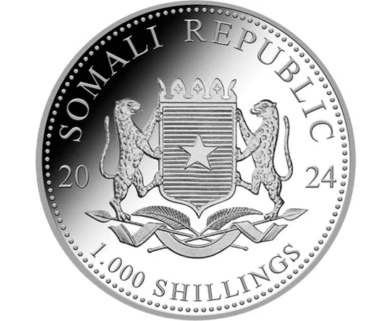 SOM/ 1000 shillingElefántAg2024 Szomália