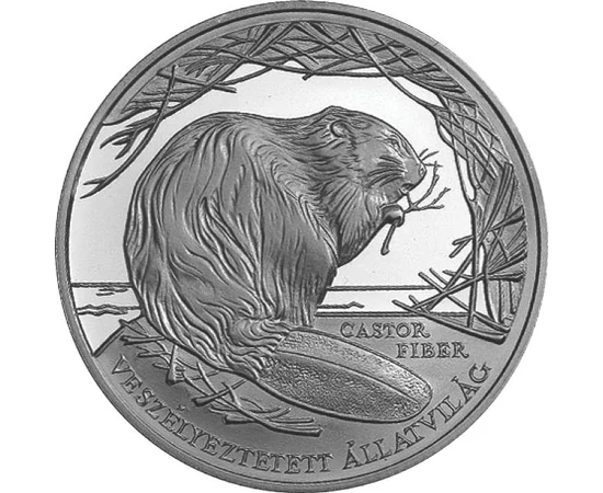  3000 Ft, Hód, ezüst, (vf.), Magyar Köztársaság