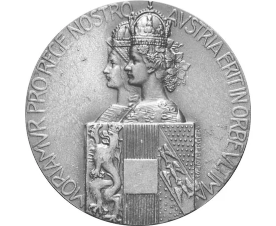 FJD/Ferenc József em.érem 1916 uv Osztrák-Magyar Monarchia