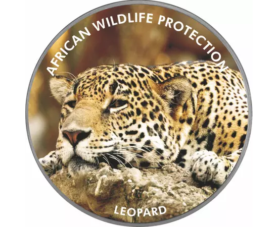 // 2000 shilling, , festett, színezüsttel bevont, Uganda, 2006 // A főként éjjeli és fán élő ragadozót nehéz a vadonban megtalálni. A leopárdok megfigyeléséhez a legjobb helyet Dél-Afrikában, a Sabi Sand magánrezervátumban alakították ki, ahol a leopárdok