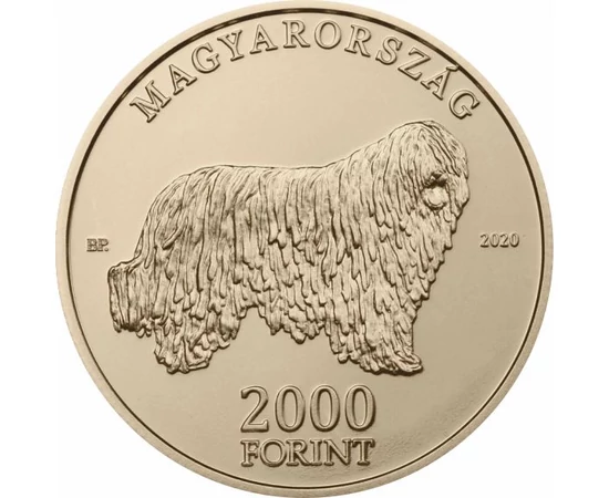 Komondor, 2000 Ft, Magyarország, 2020