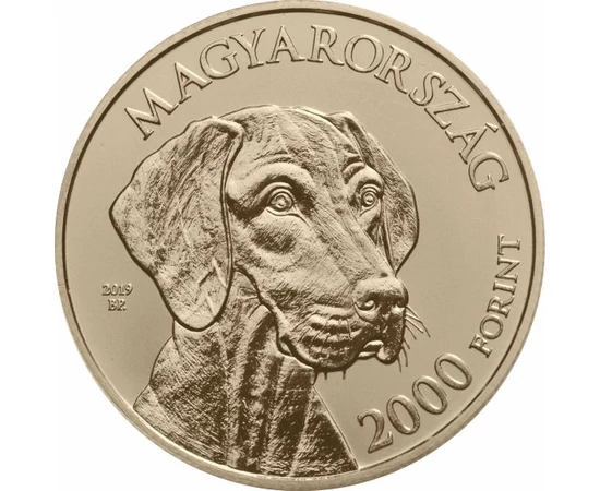 Magyar vizsla, 2000 Ft, Magyarország, 2019