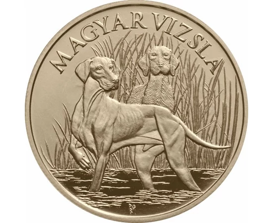 Magyar vizsla, 2000 Ft, Magyarország, 2019