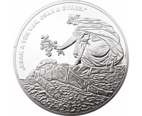 ezüstözött érmek, I. Világháború emlékérmei, tükörveret, , 